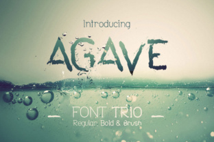 Agave Font Trio: A Practical Guide to Pairing Perfection and Avoiding Design Pitfalls