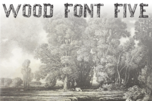 Wood Font Five: A Practical Guide to Using Wood-Type Typography in Design Workflows